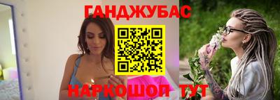 гашик Будённовск