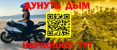 гашик Будённовск