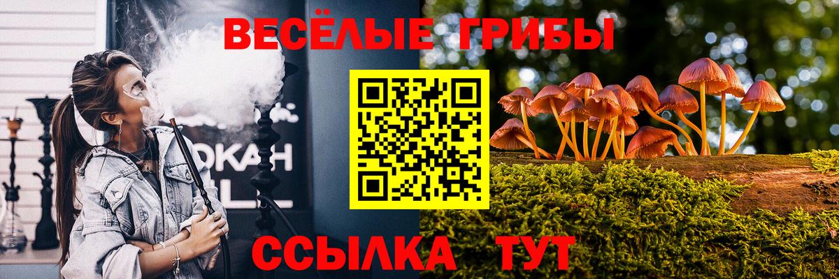 Кушва  Псилоцибиновые грибы ЛСД  Вход с VPN 