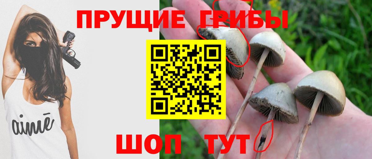 Псилоцибиновые грибы GOLDEN TEACHER Кушва